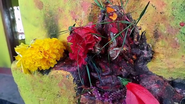 Храм Шива Лингама возле города Читван в Непале смотреть онлайн
