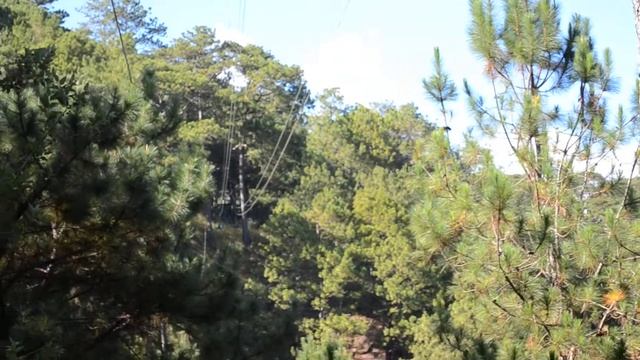 TREE TOP ADVENTURE PART 3 смотреть онлайн