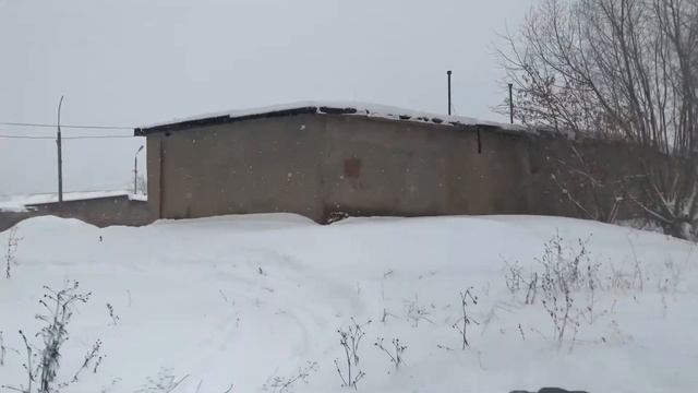 Поездка по пухляку на мотособаке смотреть онлайн