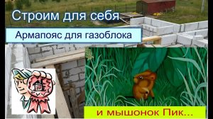 Армапояс для газоблока и мышонок Пик СТРОИМ ДЛЯ СЕБЯ