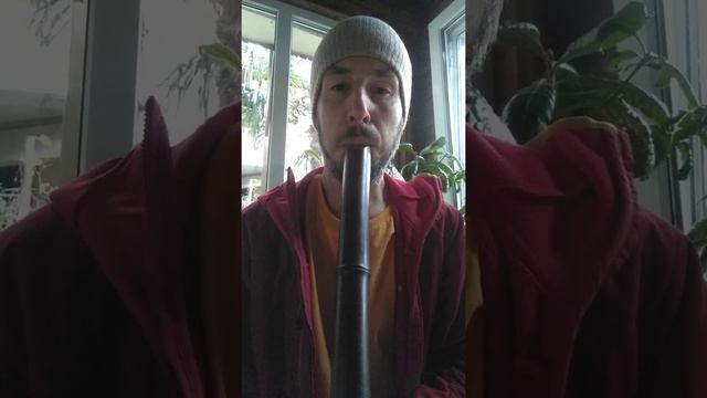 Zen флейта сякухати хотику смотреть онлайн