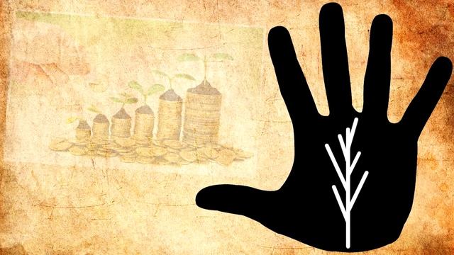 ДЕРЕВО на руках / хиромантия / Кладезь Хиромантии смотреть онлайн