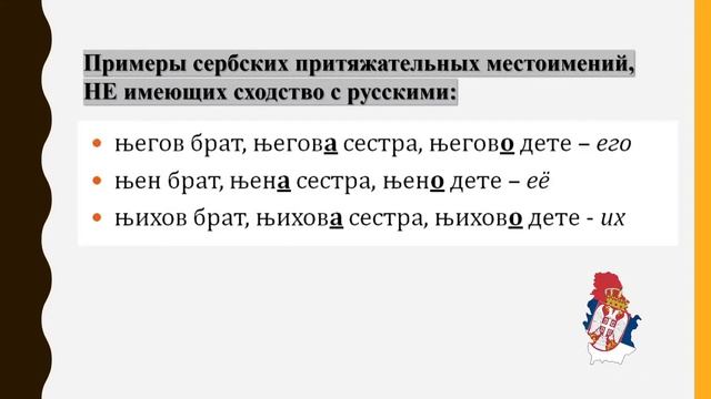 Притяжательные местоимения в сербском языке