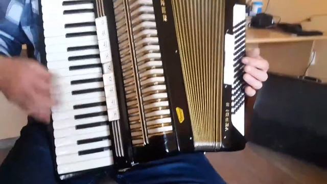Hohner Verdi II 96 Bass LMM Accordion Akkordeon Fisarmonica(2)
