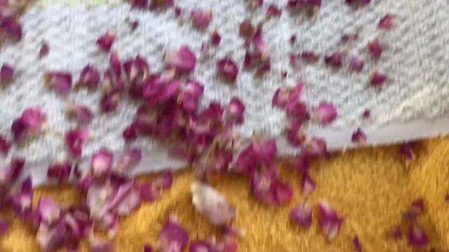 Сушим лепестки чайной розы. смотреть онлайн