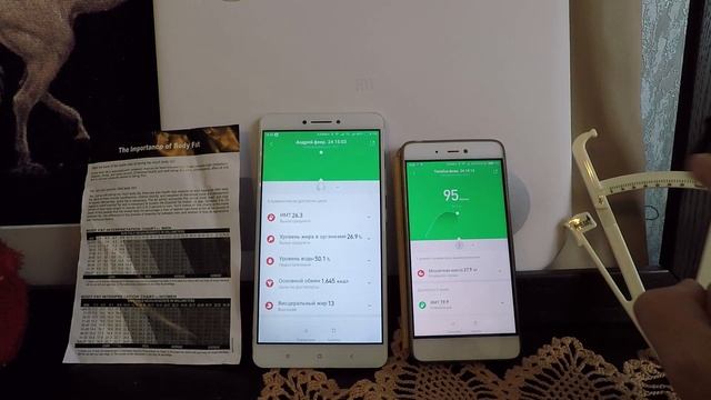 Умные весы Xiaomi Mi Smart Scale 2. Проверка на точность. смотреть онлайн