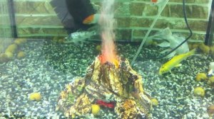 Вулкан в аквариуме