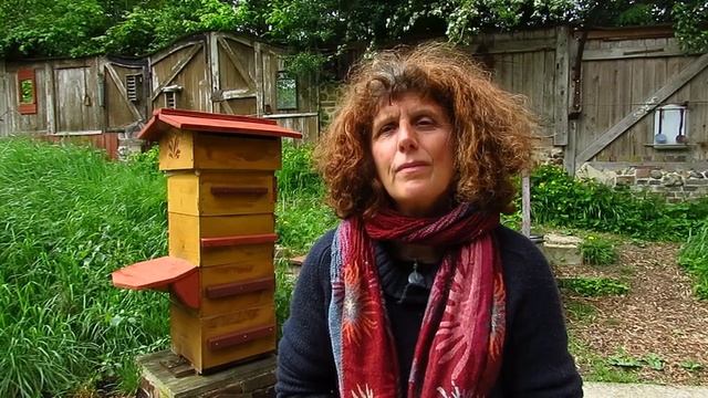 Ruches refuges : abeilles autonomes ou domestiques? смотреть онлайн