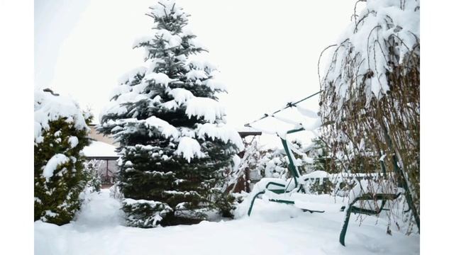 Зимняя сказка в Минске. Наш участок возле дома. смотреть онлайн