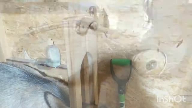 Как доить козу, уход за выменем козы, уход за козой. смотреть онлайн