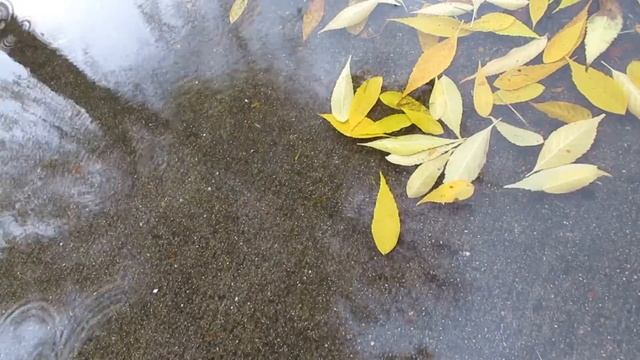 ВАЛЬС БОСТОН смотреть онлайн