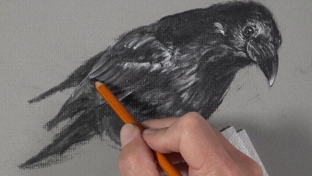 How to Draw a Raven with Charcoal смотреть онлайн