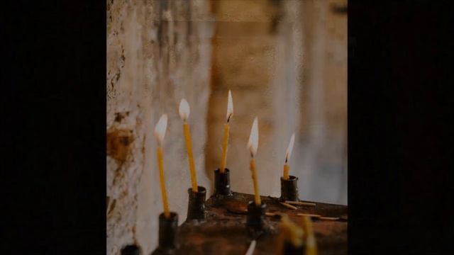 Буктейлер для книги "Когда расцветает Протея. Том 2" смотреть онлайн