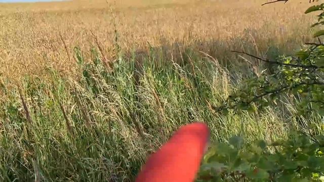 Мега Бонус!!!Латунный Радиатор!!Редкие Находки В Наше Время! Коп Металла вдоль Поля! смотреть онлайн