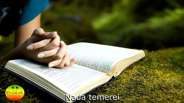 Emana Reggae - Meu Socorro смотреть онлайн