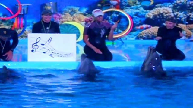 Это видео лечит людей!!! Пение дельфинов смотреть онлайн