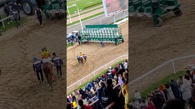 Влог//Московский Центральный Ипподром/ смотреть онлайн