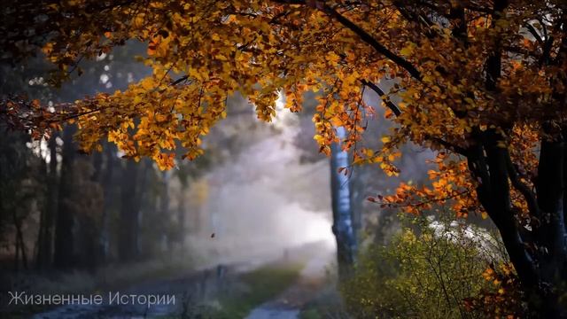 Соседушки по даче решили познакомить детей и женить, они составили план, но что-то пошло не так... смотреть онлайн