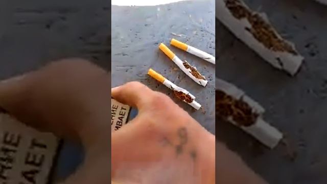 Как нас травят. смотреть онлайн