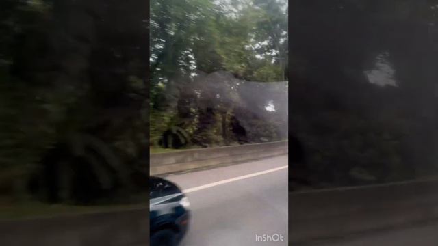 VEM SABER COMO CONHECI ESSA CIDADE,COM MENOS DE R$100,00 -PART 1 #penedo #passeio | Já é Família RJ смотреть онлайн