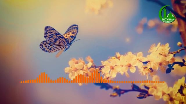 Аманар Росул ояти тафсири смотреть онлайн