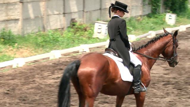 07 Киселева Юлия и Вибросса смотреть онлайн