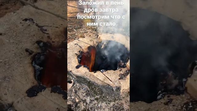 Сжигаем пень смотреть онлайн