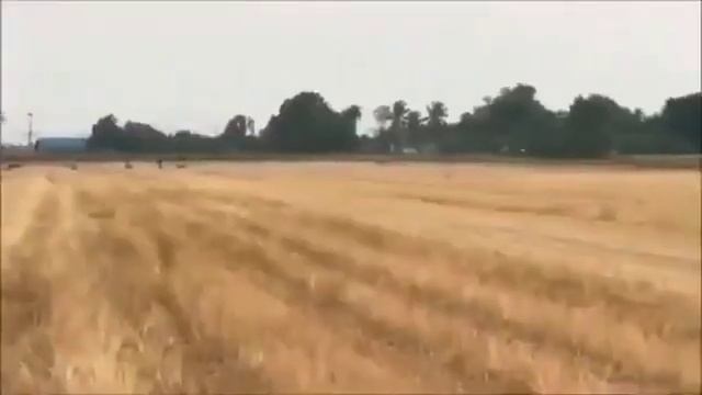 вот это скорость,мотоблок смотреть онлайн