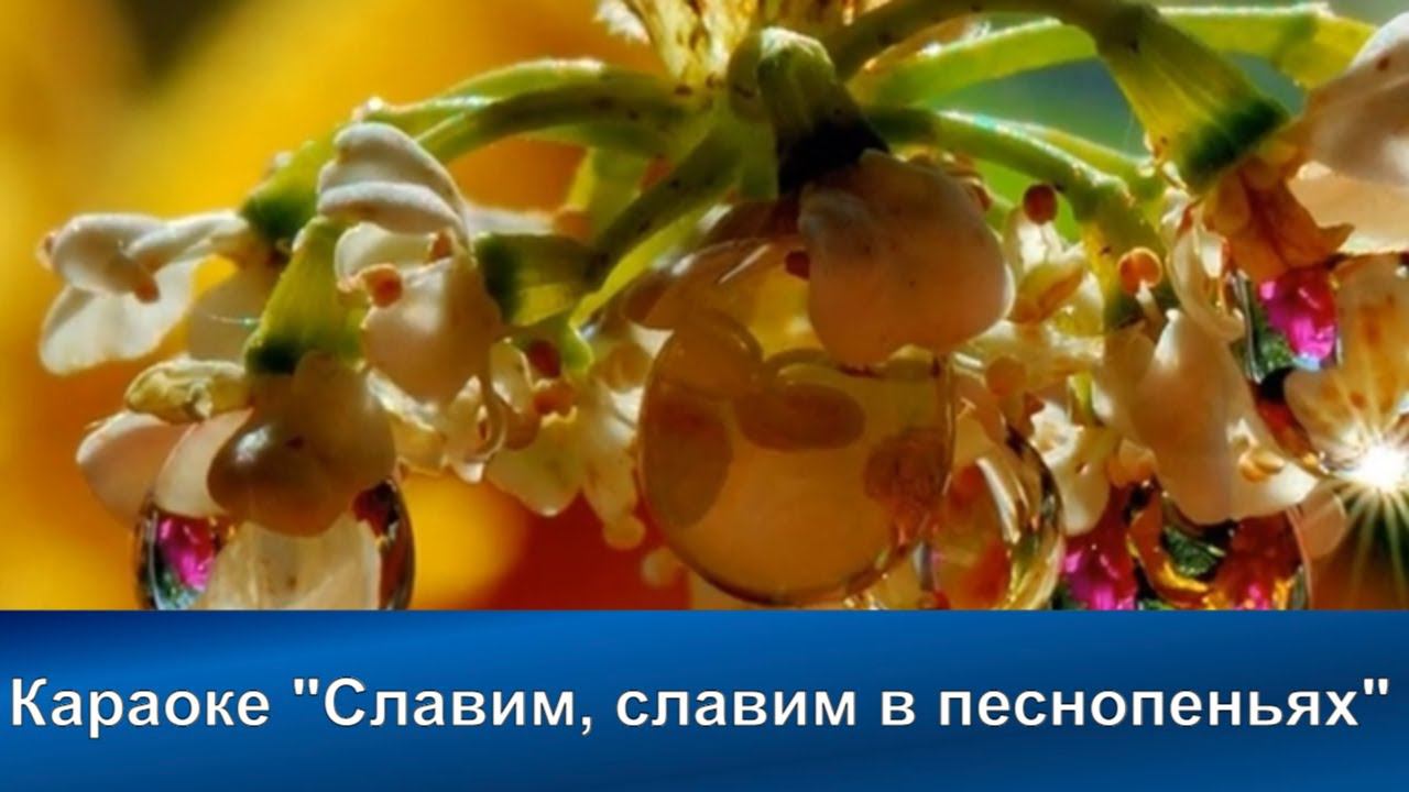 № 4 Славим, славим в песнопеньях | Караоке с голосом | Христианские песни | Гимны надежды смотреть онлайн