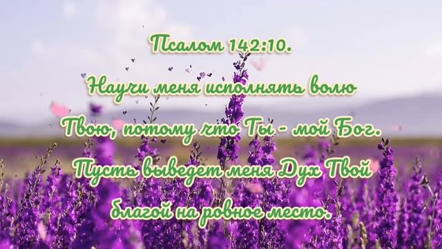 Псалом 142:10. смотреть онлайн