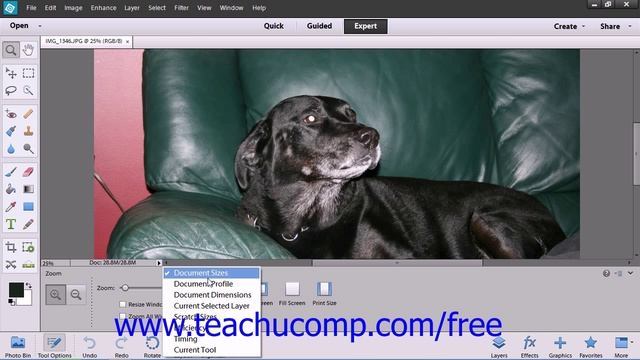 Photoshop Elements 12 Tutorial Moving the Image Adobe Training Lesson 3.9 смотреть онлайн