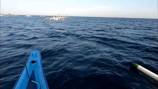 Bali, Lovina смотреть онлайн