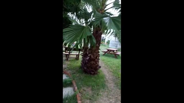 Тунис. Хаммамет. Обзор отеля 