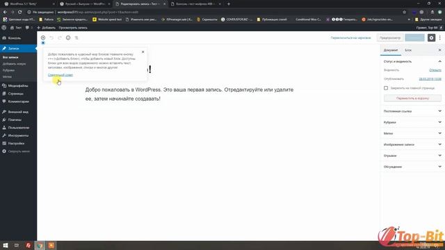 ? ДЕТАЛЬНЫЙ ВИДЕО ОБЗОР КОНСОЛИ WORDPRESS 5.1.1. ? УРОКИ ДЛЯ НОВИЧКОВ. TOP-BIT.BIZ смотреть онлайн