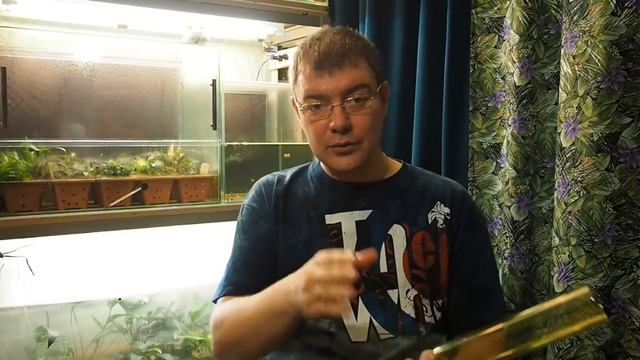 обслуживание аквариума или чистота залог здоровья! смотреть онлайн