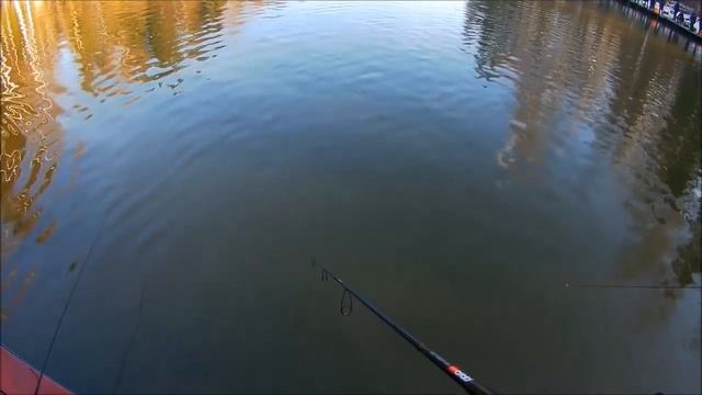 ЛОВЛЯ ФОРЕЛИ В КЛЁВОМ МЕСТЕ НА СПИННИНГ. СМОТРИТЕ И НАСЛАЖДАЙТЕСЬ! смотреть онлайн