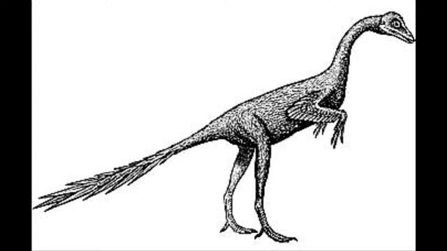 Протоавис (лат. Protoavis) смотреть онлайн