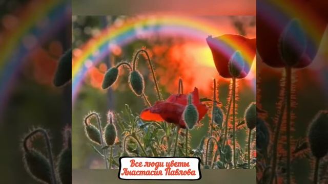 #Все#люди#цветы#стихи#Анастасия#Павлова# смотреть онлайн