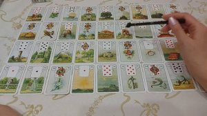 Значение карты ЗМЕЯ ? попавшая в тот или иной дом в БРЛ,обучающее видео ♥️??