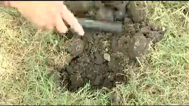 Презентация Pro Pointer смотреть онлайн