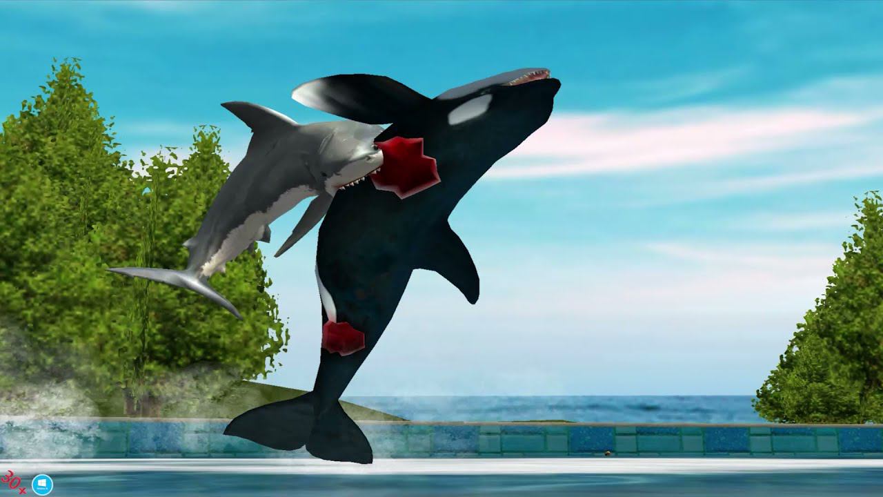 Jaws Unleashed: Free Willy is DEAD/Я сожрал касатку Вилли #2 смотреть онлайн
