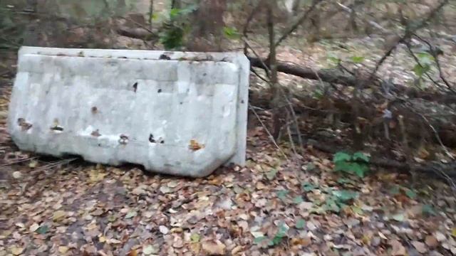 Грибы в Подмосковье 25 сентября. смотреть онлайн