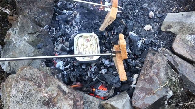 Сардинки на углях ? | Сардины прямо в консерве готовим на костре, как в пионерском лагере! ? смотреть онлайн