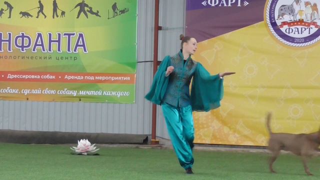 Открытый - Фристайл Курочкина Анна и Тайский риджбек DUSIT THAI RIDGEBACK KANOM TOM смотреть онлайн