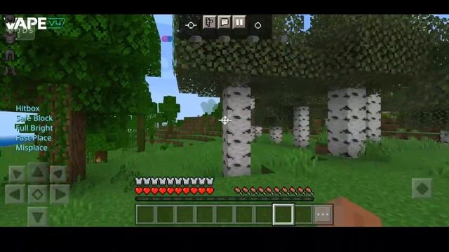 New! Toolbox/Mod Menu Minecraft 1.19.2+ Infinite Time (New Update) 2022 [ Minecraft Mod Menu ] смотреть онлайн