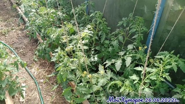 Ещё один воскресный день в деревне.