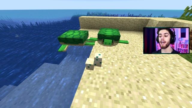 EASY Way To Get Turtle Eggs In Minecraft! - Easy Turtle Guide смотреть онлайн