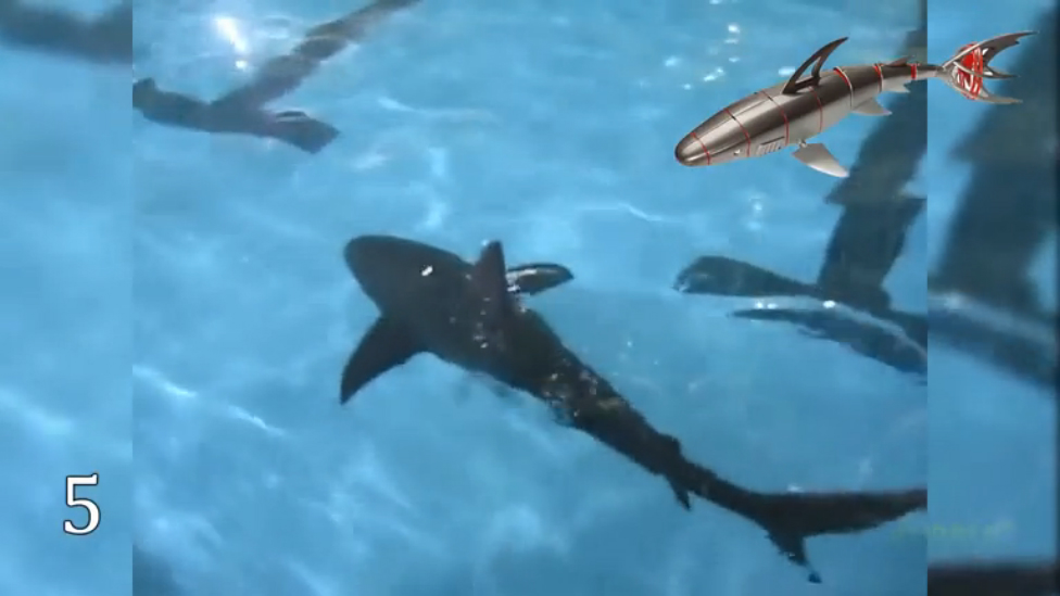 10 САМЫХ КРУТЫХ РОБОТОВ ЖИВОТНЫХ смотреть онлайн