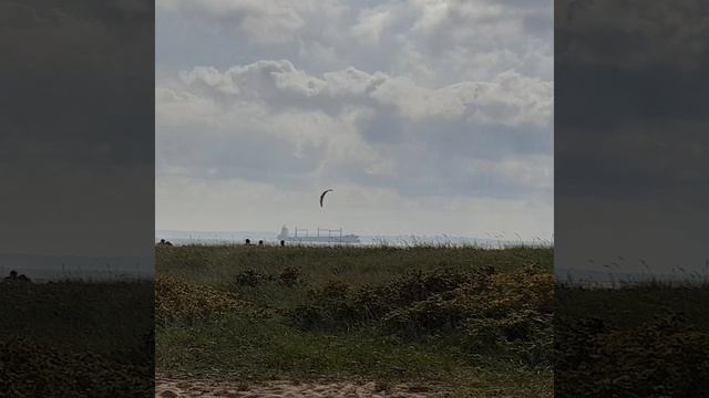 Пикник на берегу Западного Котлина. смотреть онлайн