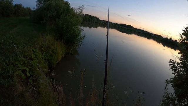 Солнце село и началось... Толстолоб не даст поспать. смотреть онлайн